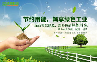 节能和新能源技术推广对接会圆满举行，绿鼎能热能管家项目获多方关注